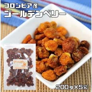 世界美食探究 無添加ゴールデンベリー(インカベリー) 1kg...