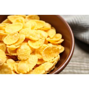 コーンフレーク 300g×14袋 日食 素材に...の詳細画像1