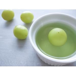 蒟蒻ゼリーの素 マスカット 75g 大島食品工...の詳細画像2