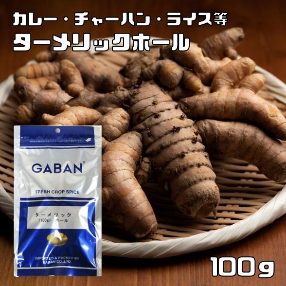 ターメリックホール 100g GABAN スパイス 香辛料 シード 粒 業務用 Turmeric う...