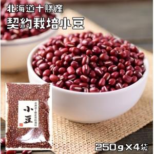 小豆 10kg 豆力 契約栽培 北海道 十勝産 業務用 国産 国内産 徳用 乾燥