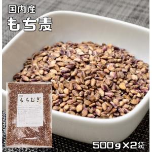 もち麦 1kg 豆力 国産 もちむぎ 大麦 裸麦 国内産 雑穀 国内加工 穀物 雑穀米 雑穀ごはん