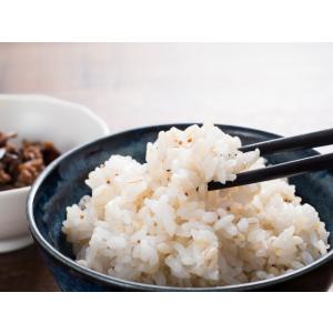もち麦(キラリモチ) 500g 豆力 国産 も...の詳細画像2
