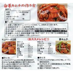 キムチ漬の素 100g×5袋 奈良つけもん屋 ...の詳細画像4