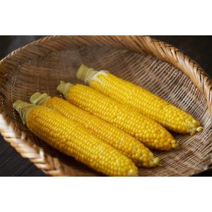 コーンミール 1kg×3袋 小麦ソムリエの底力...の詳細画像5