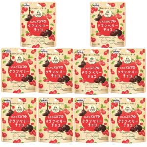 カカオ70クランベリーチョコ 41g×10袋