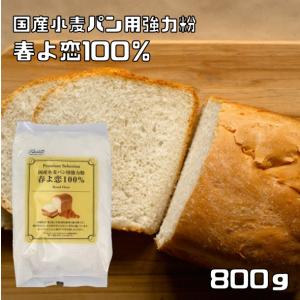 パイオニア企画 国産小麦パン用強力粉 春よ恋100％  800g