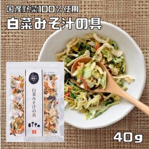 白菜みそ汁の具 40g 国産 乾燥野菜 干し野菜 国内産 乾物 便利野菜 備蓄 非常食 味噌汁の具 簡便野菜 ハクサイ｜食べもんぢから.Yahoo!店