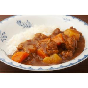 ソイミート フィレタイプ 100g レトルト ...の詳細画像2