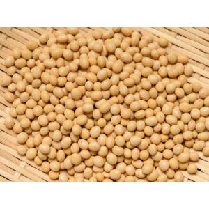 小粒大豆 250g 豆力 北海道産 ユキシズカ...の詳細画像2