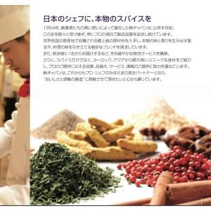 タピオカ パール 100g GABAN 6mm...の詳細画像3