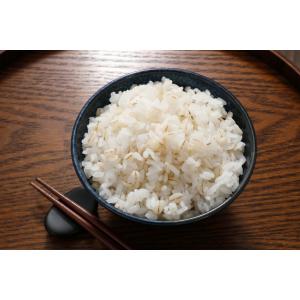 押麦 5kg まめやの底力 岡山県産 国産 国...の詳細画像2