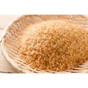 発芽玄米 5kg 豆力 玄米 玄氣 米 発芽米...の詳細画像1