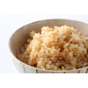 発芽玄米 5kg 豆力 玄米 玄氣 米 発芽米...の詳細画像2