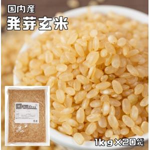 発芽玄米 20ｋg 豆力 北海道産 玄米 玄氣 米 発芽米 無洗米タイプ 日本米 国産米 国内産 穀物 健康米｜tabemon-dikara