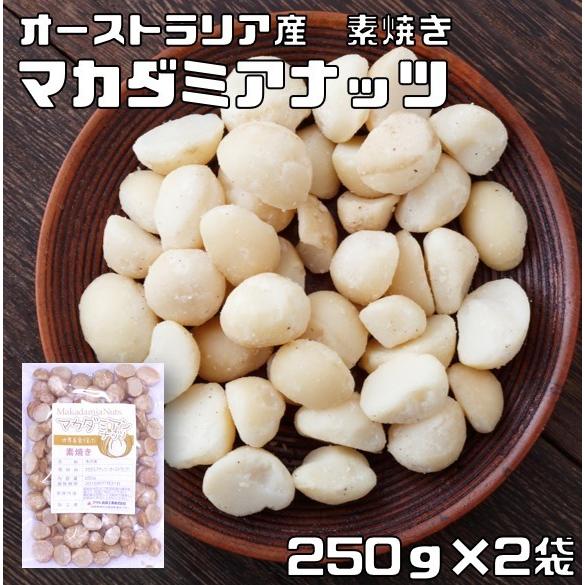マカダミアナッツ 素焼き 250ｇ×2袋 世界美食探究 オーストラリア産 （メール便）マカデミアナッ...