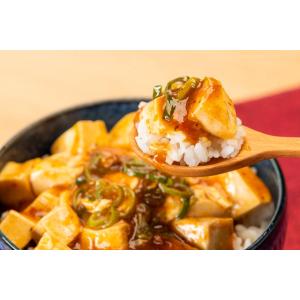キムチ漬の素 100g×5袋 奈良つけもん屋 ...の詳細画像2