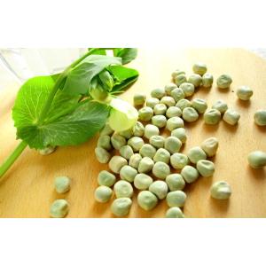 マローハットピース 1kg まめやの底力 イギ...の詳細画像1