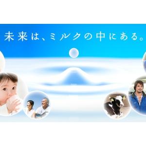 毎日骨太 スキム 224g×2袋 雪印メグミル...の詳細画像1