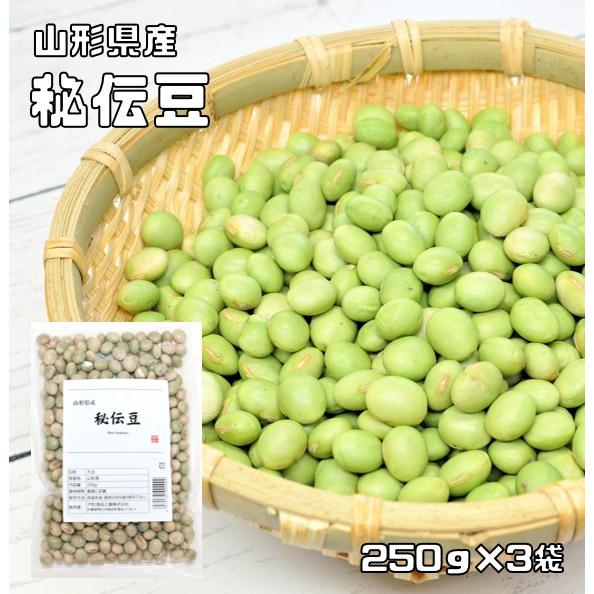 秘伝豆 250g×3袋 豆力 山形県産 （メール便）ひでん豆 国産 青大豆 枝豆 だいず 国内産 乾...