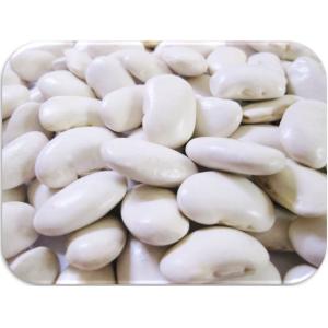 大白花芸豆(白花豆) 1kg まめやの底力 中...の詳細画像1