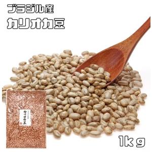 まめやの底力　カリオカ豆　1ｋg