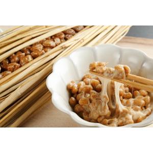 ドライ納豆 醤油味 100g 豆力 国内産 国...の詳細画像4