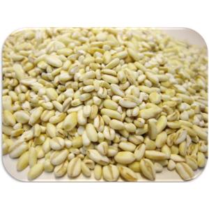 米粒麦 1kg 豆力 岡山県産 国産 国内産 ...の詳細画像1