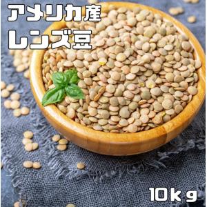 レンズ豆 皮つき 10kg 豆力 れんずまめ レンティルピース