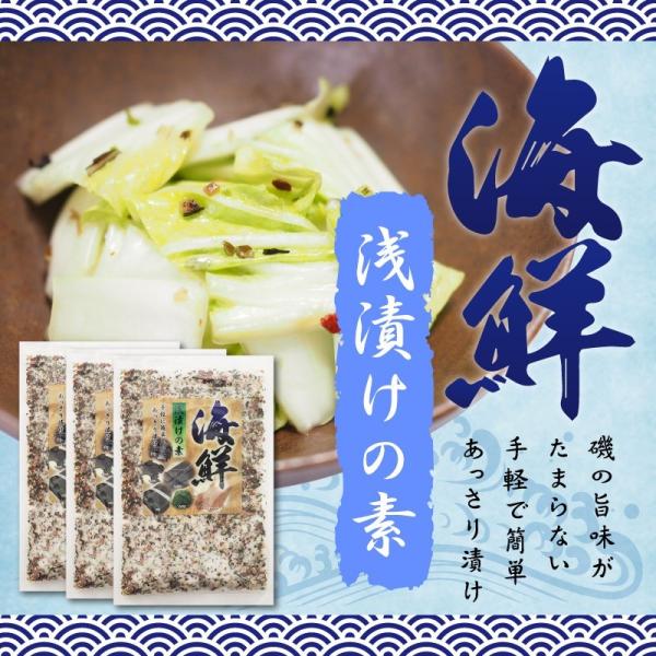 海鮮浅漬けの素 230g×3袋セット