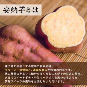 安納芋 ベビーサイズ 3kg (2.5kg+保...の詳細画像1