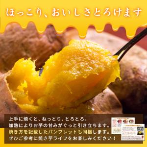 安納芋 ベビーサイズ 3kg (2.5kg+保...の詳細画像2