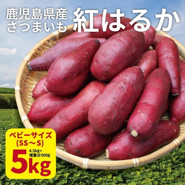 さつまいも 紅はるか ベビーサイズ 土付き 5kg (4.5kg+傷み保証分500g) (130g以...
