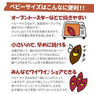 さつまいも 紅はるか ベビーサイズ 土付き 5...の詳細画像4