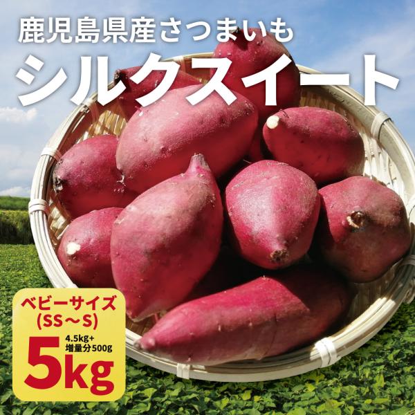 さつまいも シルクスイート ベビーサイズ 土付き 5kg (4.5kg+傷み保証分500g) (13...