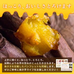 さつまいも 紅はるか 5kg (土付き・大小サ...の詳細画像2