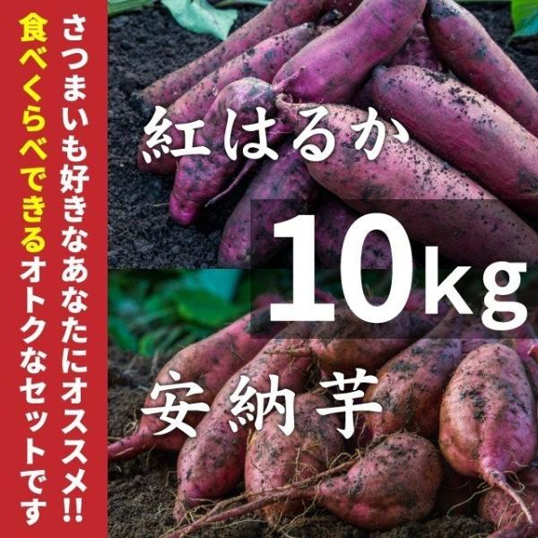 さつまいも 紅はるか &amp; 安納芋 10kg 食べくらべセット 土付き 大小サイズ混在 鹿児島県産 さ...