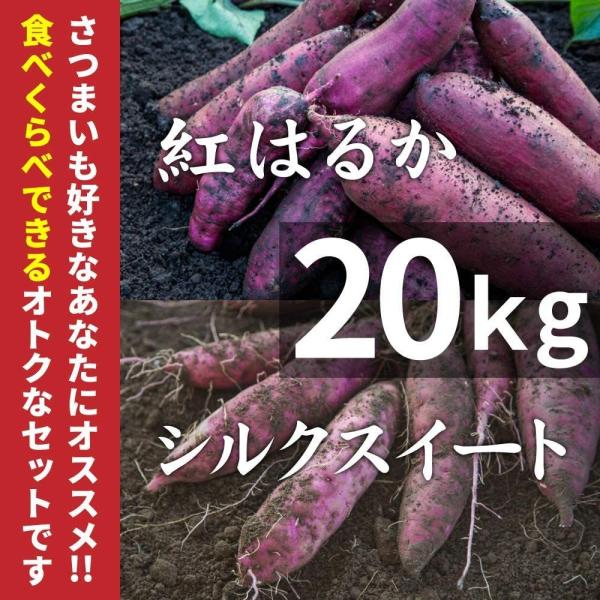 さつまいも 紅はるか &amp; シルクスイート 20kg 食べくらべセット 土付き・大小サイズ混在 鹿児島...