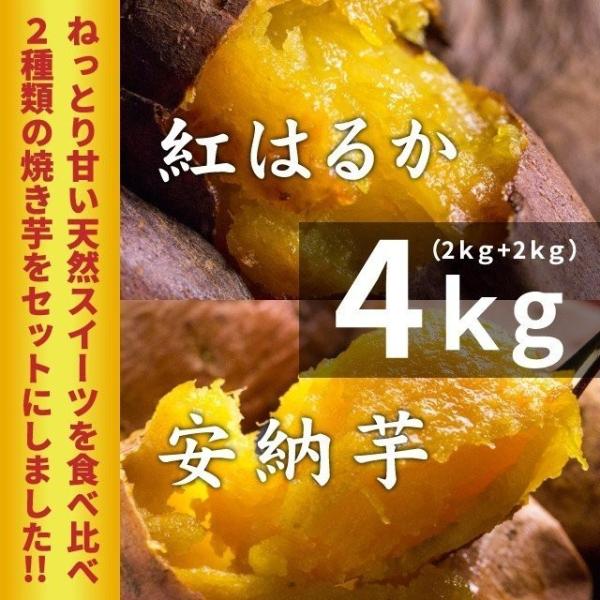 薩摩 あま蜜 完熟焼き芋 紅はるか＆安納芋セット 4kg (冷凍焼き芋) 鹿児島県産さつまいも