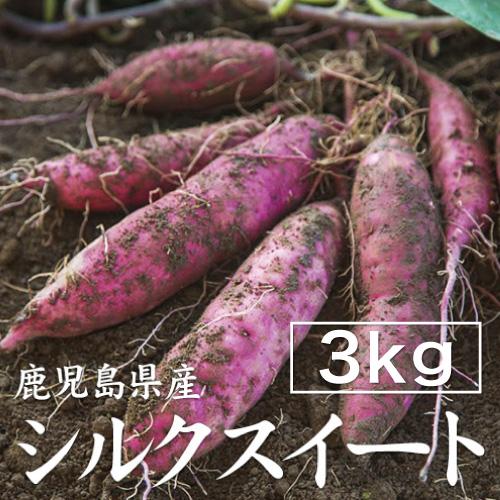 さつまいも シルクスイート 3kg （土付き・大小サイズ混在） 鹿児島県産 2025年産