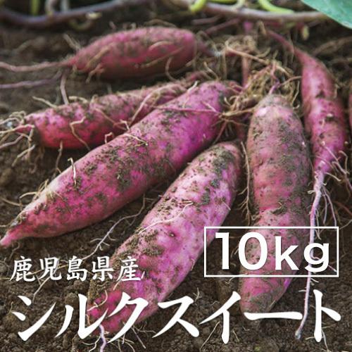 さつまいも シルクスイート 10kg （土付き・大小サイズ混在） 鹿児島県産 2025年産