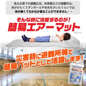2個組 Sサイズ エアーマット クリア 2個セ...の詳細画像2