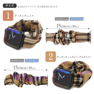 Apple Watch Series 1〜7 ...の詳細画像4