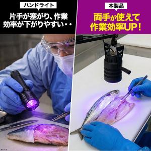 アニサキス発見 UV-LED アームライト ス...の詳細画像2