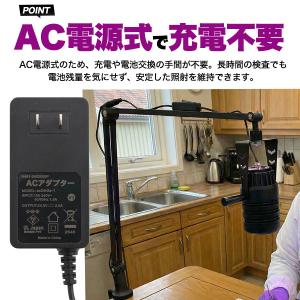 アニサキス発見 UV-LED アームライト ス...の詳細画像5
