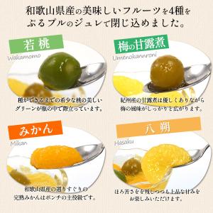 和歌山県産 わかやまポンチ&フルーツコンポート...の詳細画像4