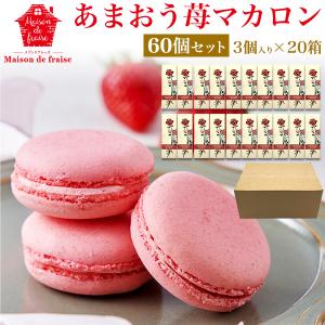 カートン買い マカロン メゾンドフレーズ あまおう 苺マカロン 60個(3個入り×20箱)  焼き菓子 いちごマカロン クリーム 菓子 スイーツ 個包装 箱買い ばら撒き｜tabemore