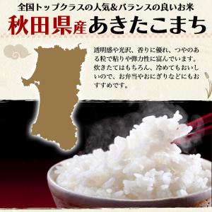 10合 無洗米 秋田県産 あきたこまち 1合パ...の詳細画像4