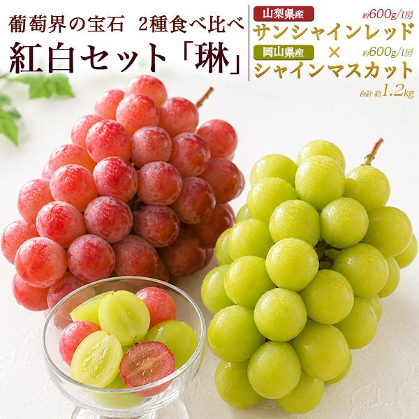 岡山県産 シャインマスカット 晴王 山梨県産 サンシャインレッド 2種食べ比べ紅白セット 国産 果物...