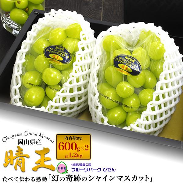 岡山県産 シャインマスカット 晴王 2房 約600g×2個 最高ランク 国産 マスカット 高級 果物...
